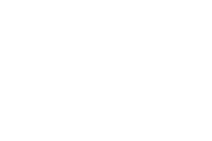 driveway cleaning company service