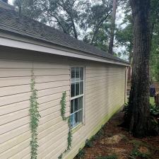 House and Driveway Cleaning in Tallahassee, FL 4